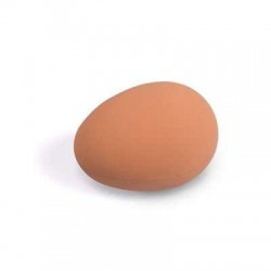 Huevo de gallina simulado...
